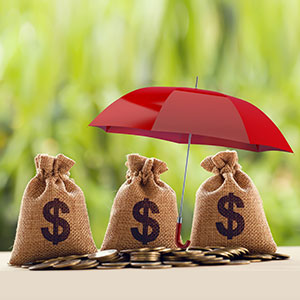 Protecting Assets Under Bankruptcy